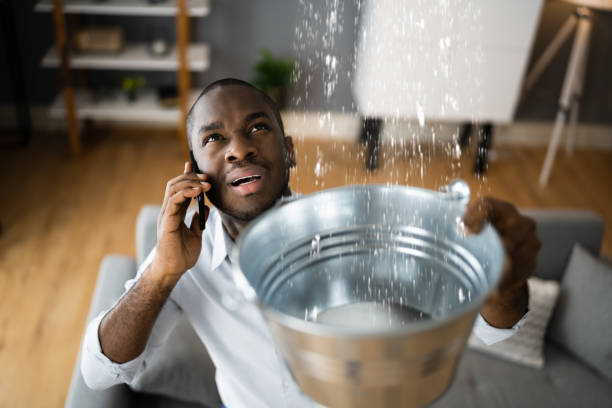 Best Water damage restoration near me  in Fort Hall, ID