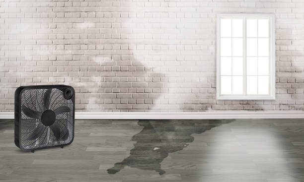 Reliable ID Water damage restoration Solutions