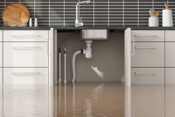 Best Professional water damage repair  in Fort Hall, ID