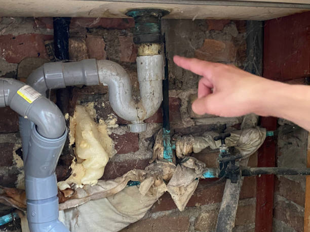 Best Fire Damage Restoration  in Fort Hall, ID