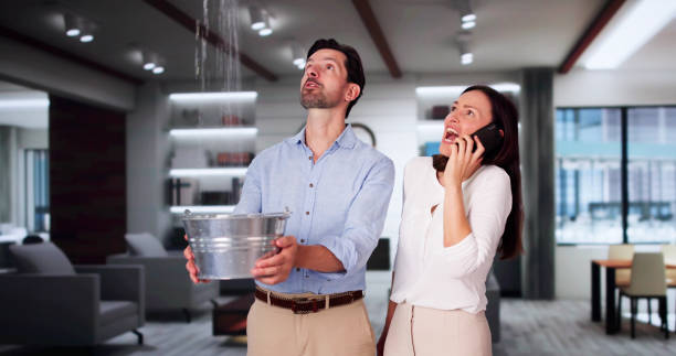 Best Basement water damage restoration  in Fort Hall, ID