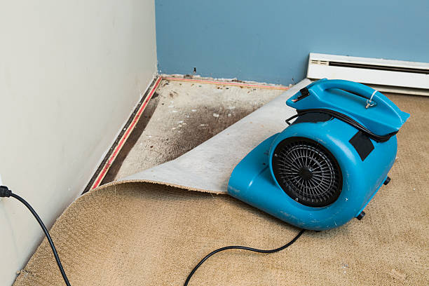 Best Water damage cleanup near me  in Fort Hall, ID